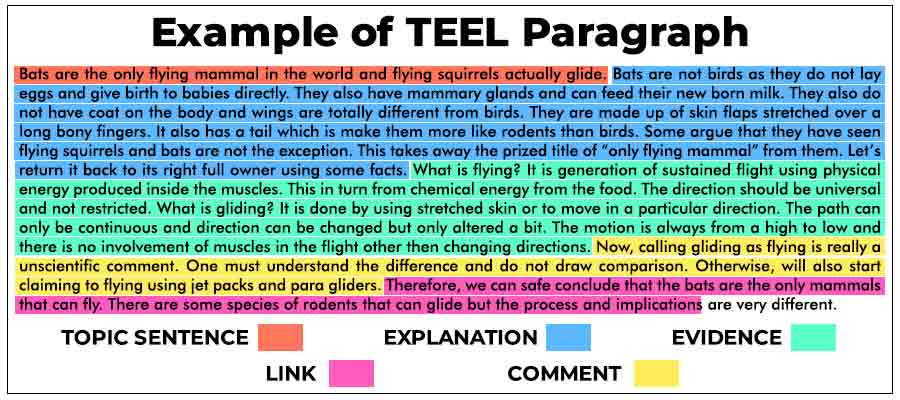 essay paragraph structure teel